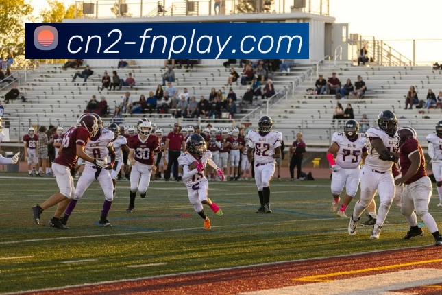 蜂鸟电竞平台全站App